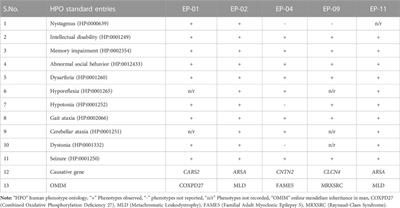 Whole exome sequencing identified five novel variants in CNTN2, CARS2, ARSA, and CLCN4 leading to epilepsy in consanguineous families